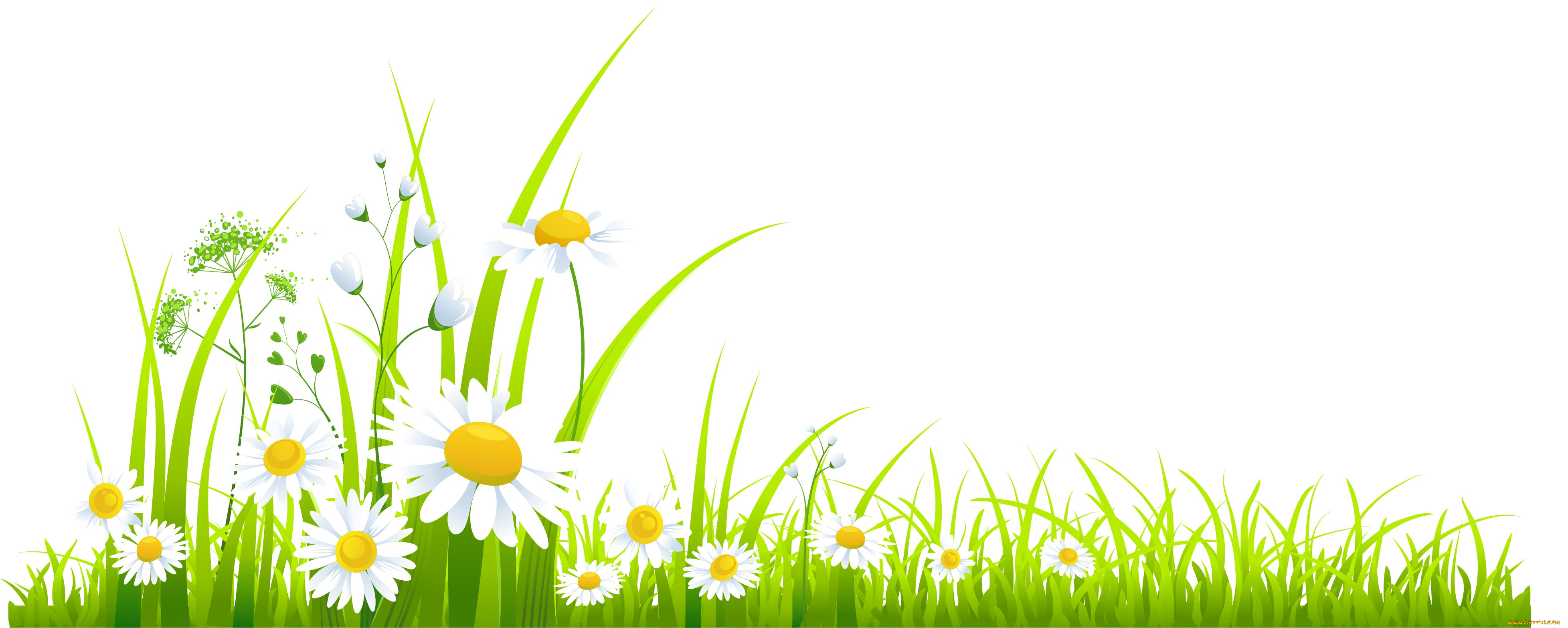  ,  , flowers, , 